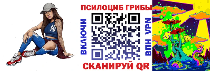 МЕГА   Ялуторовск  Псилоцибиновые грибы Psilocybe 