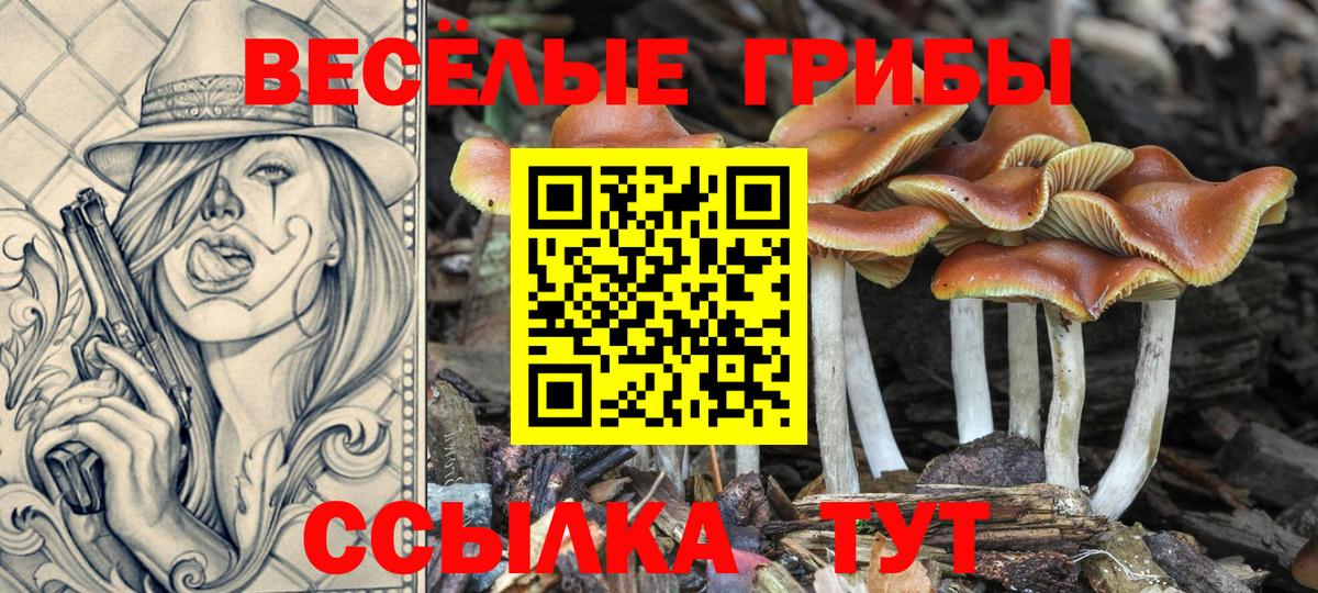 Галлюциногенные грибы Cubensis Ялуторовск