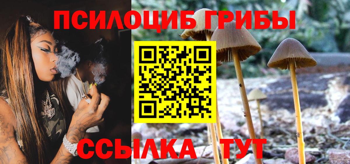 Галлюциногенные грибы Psilocybe  Вход с VPN  Ялуторовск 